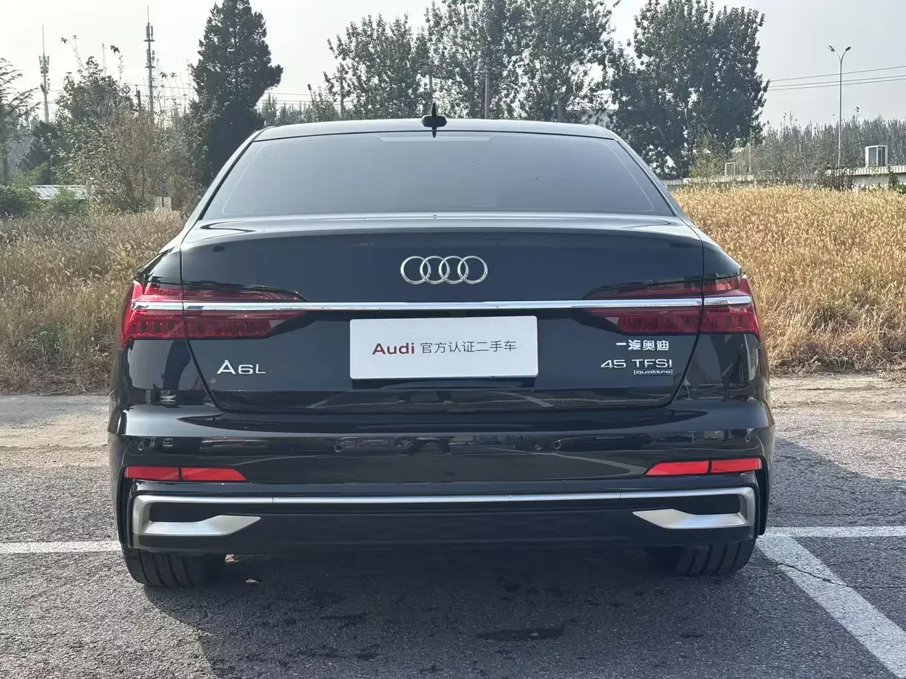 Audi A6L