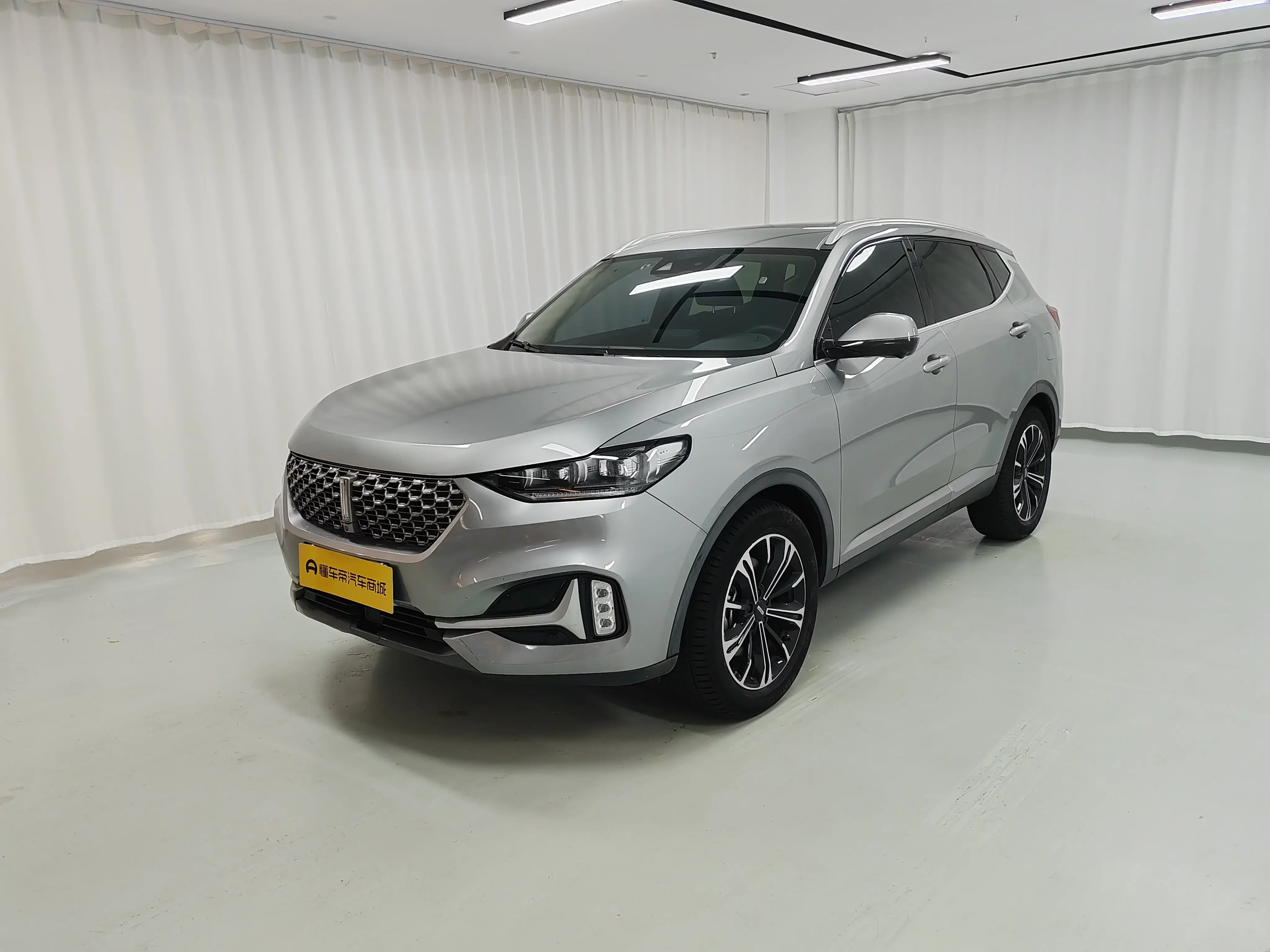 Wey Wei brand VV6