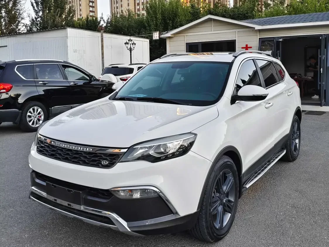 Leopaard Cheetah CS10