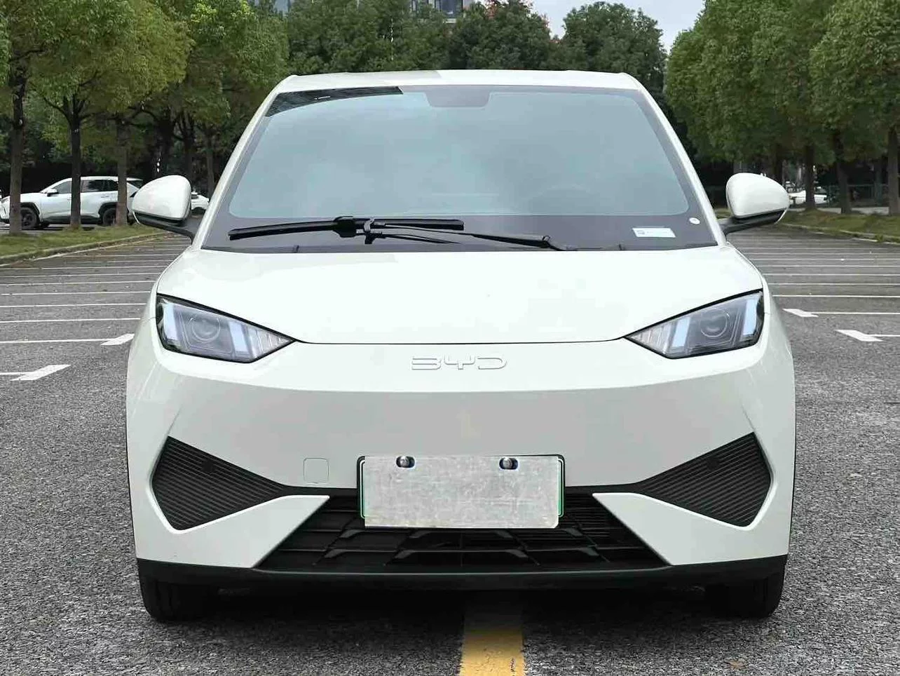 BYD Seagull