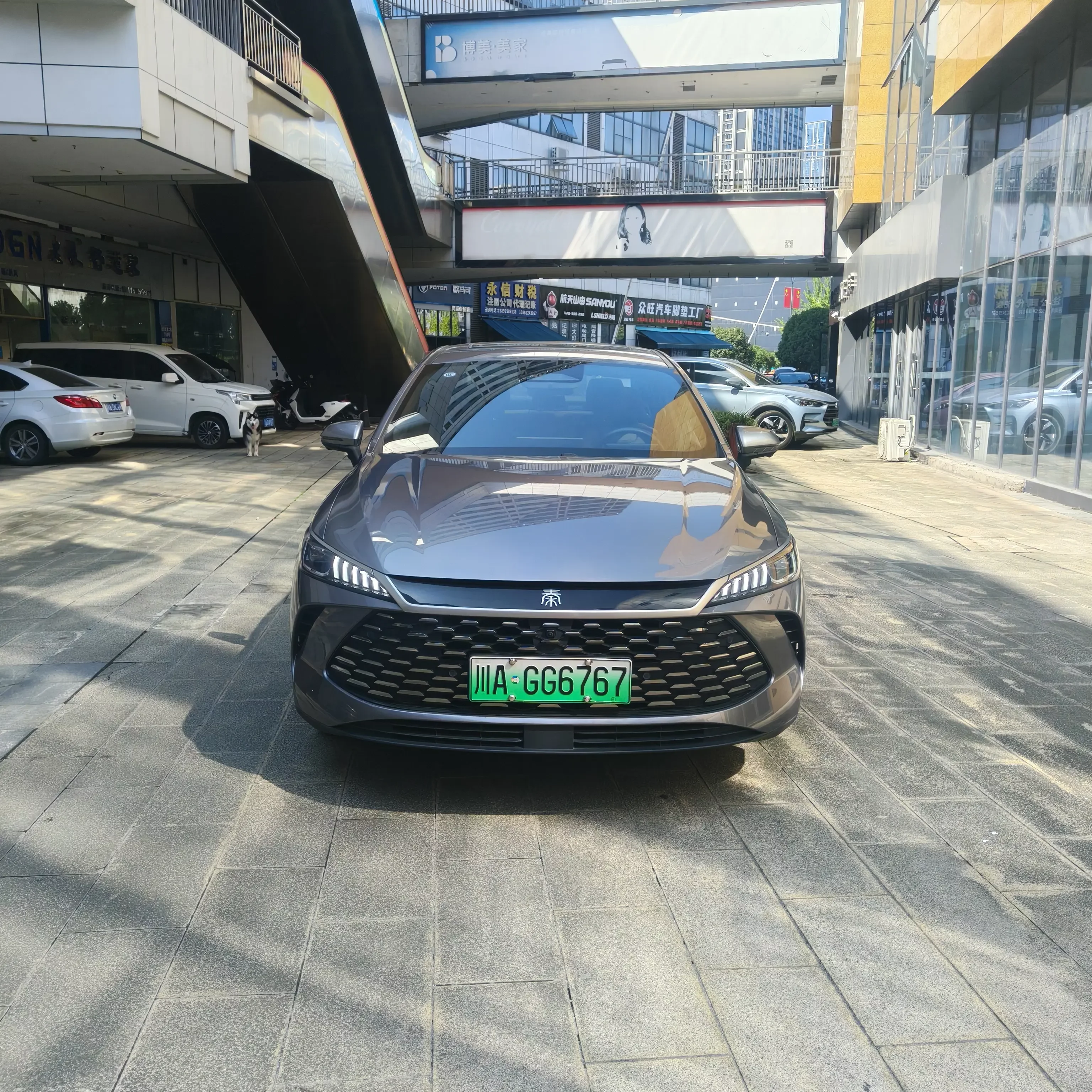 BYD Qin PLUS DM