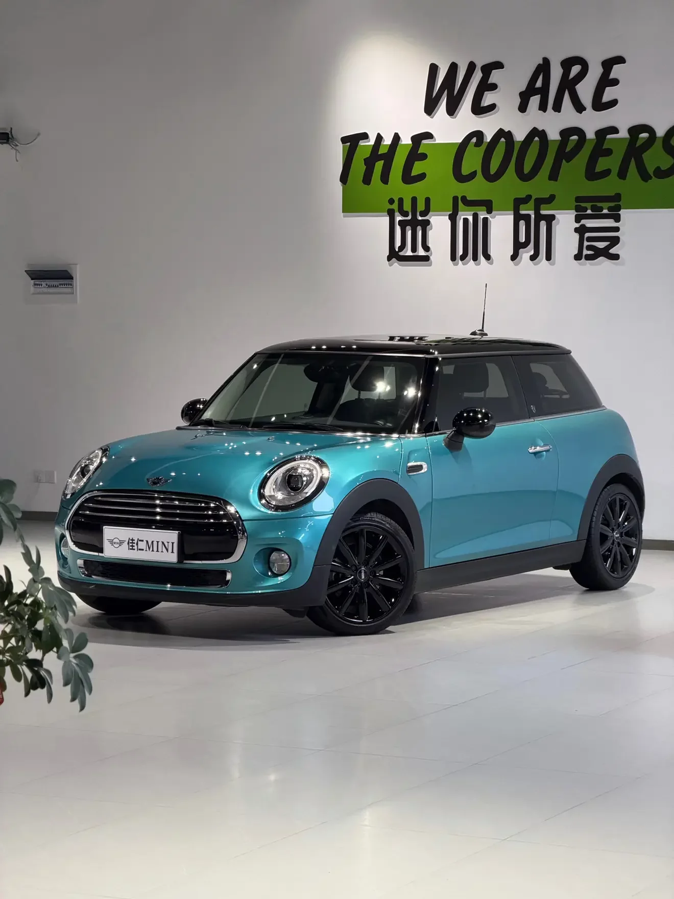 MINI MINI