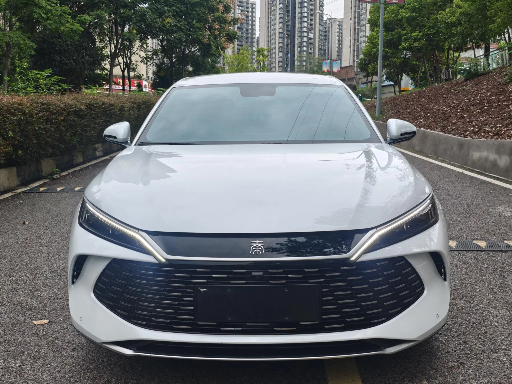 BYD Qin L DM