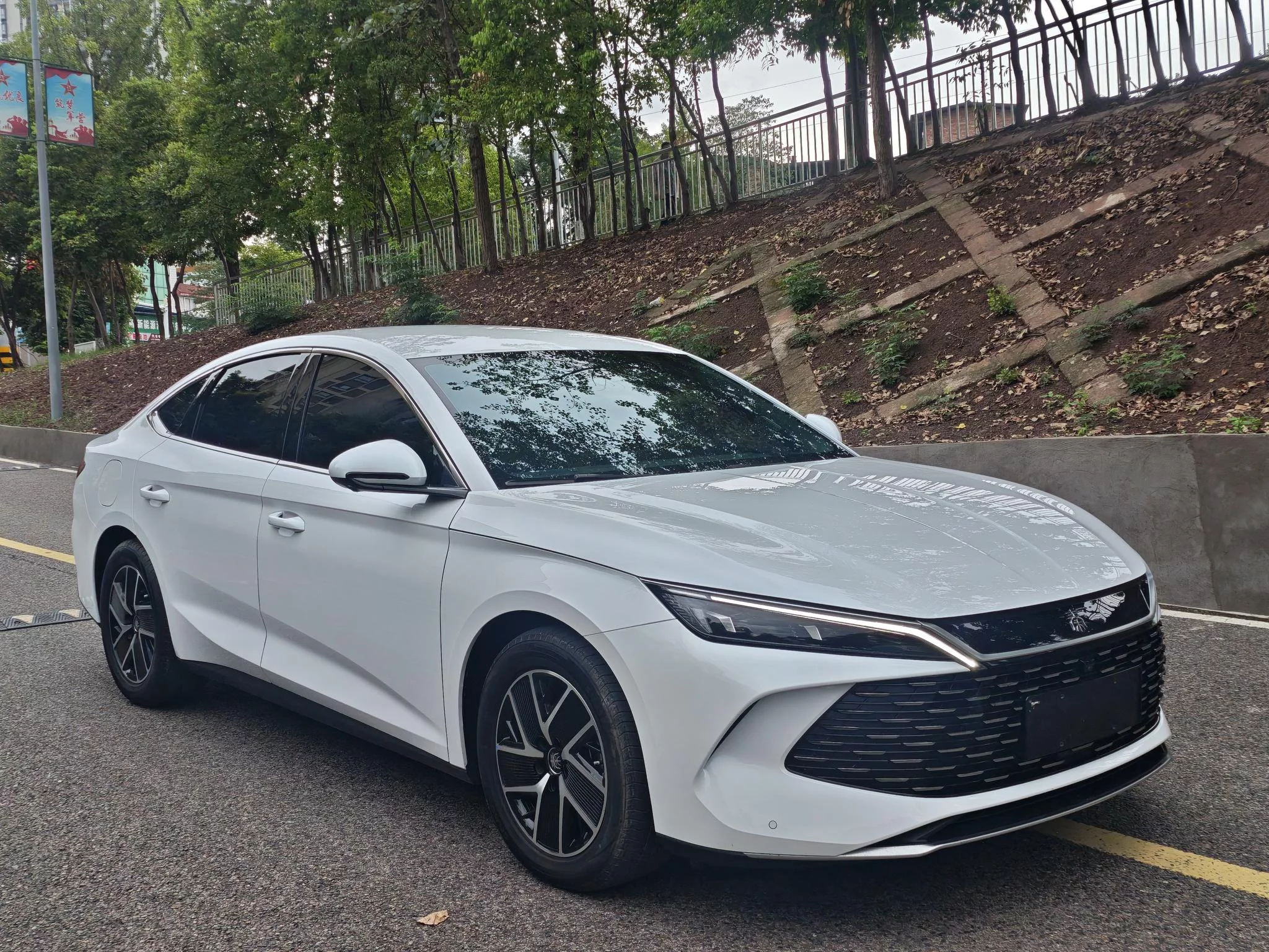 BYD Qin L DM
