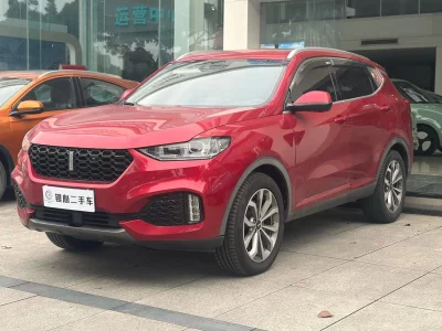 Wey Wei brand VV6