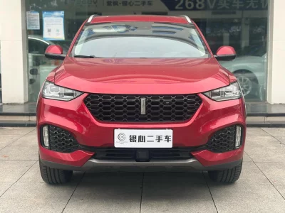 Wey Wei brand VV6