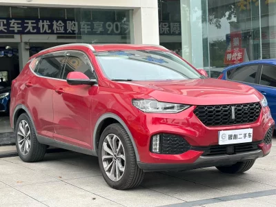 Wey Wei brand VV6