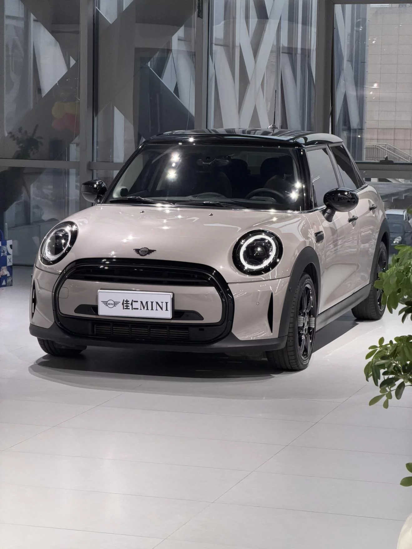 MINI MINI
