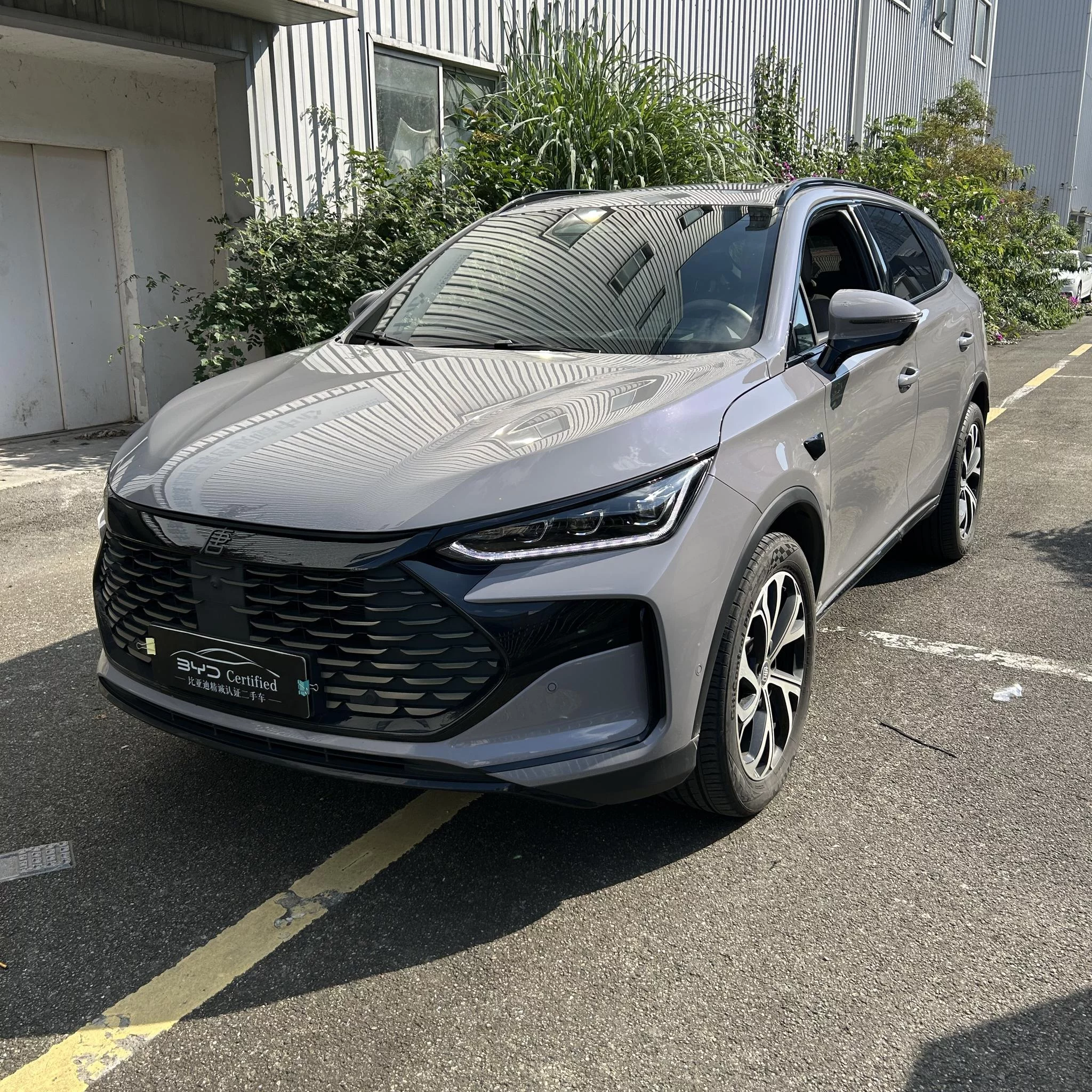 BYD Tang DM