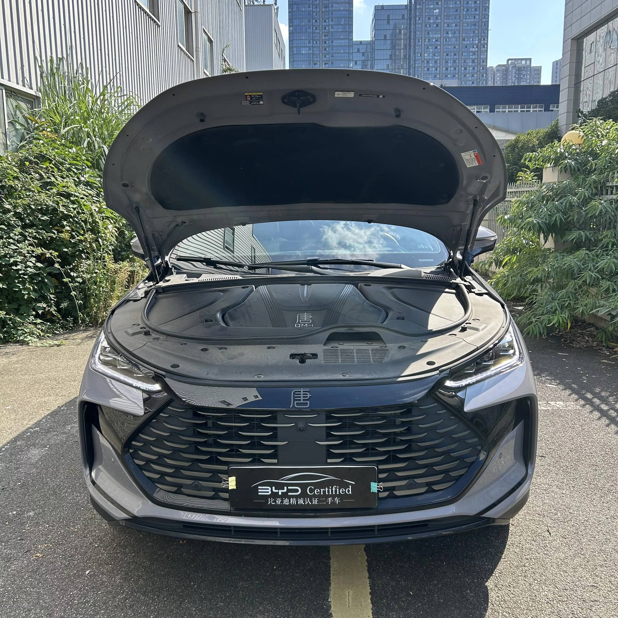 BYD Tang DM