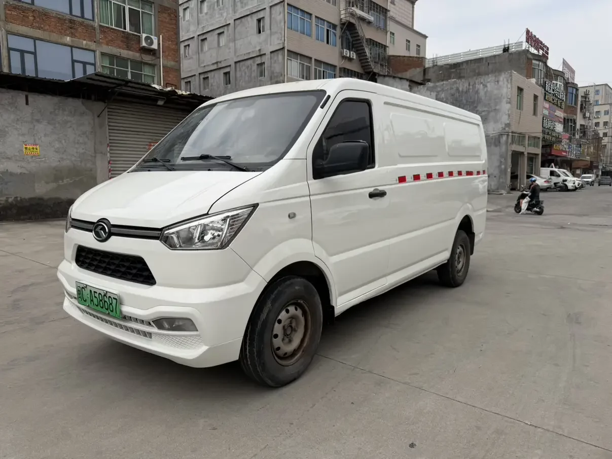 Golden Dragon Long Yao 6