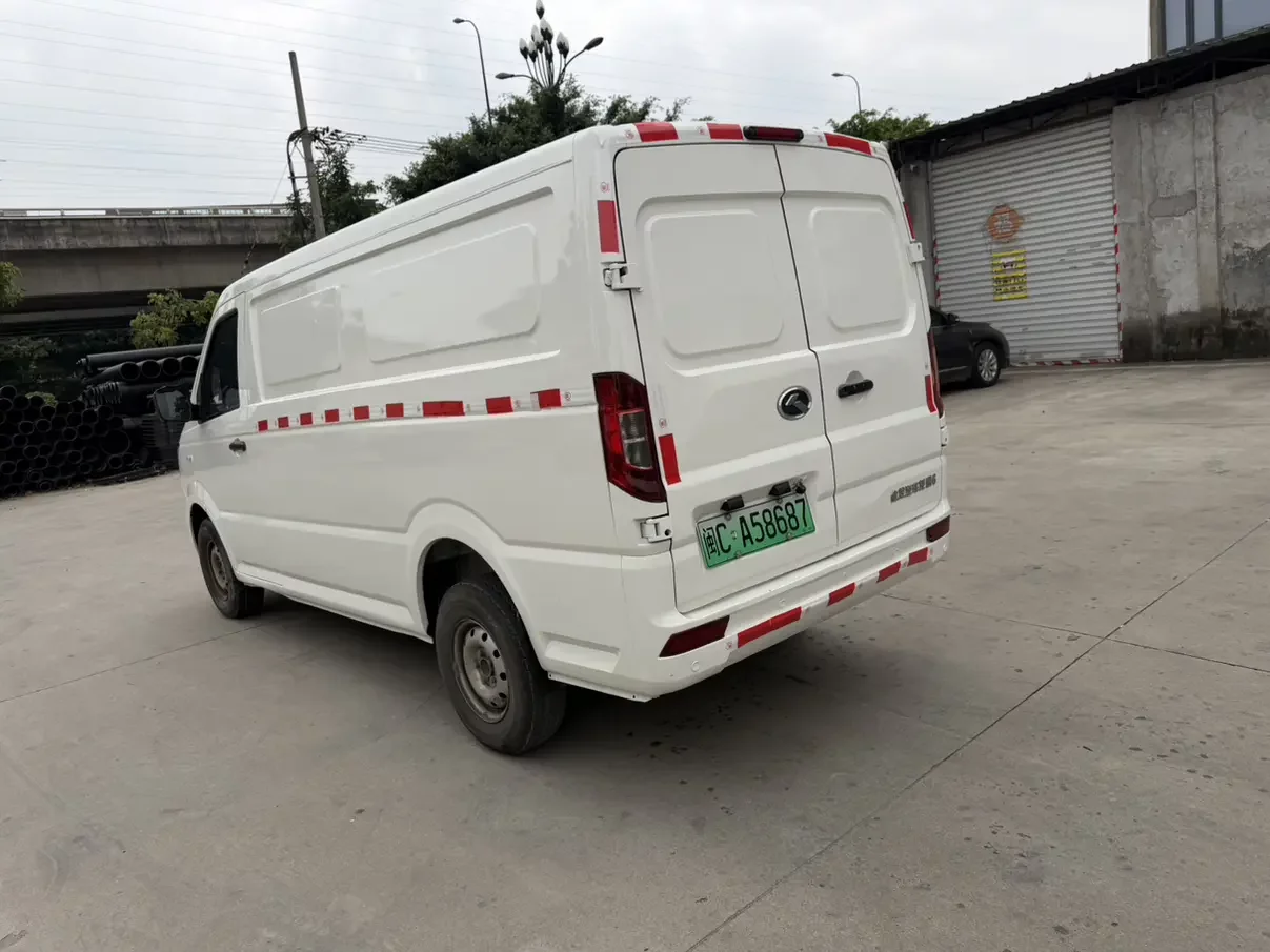 Golden Dragon Long Yao 6