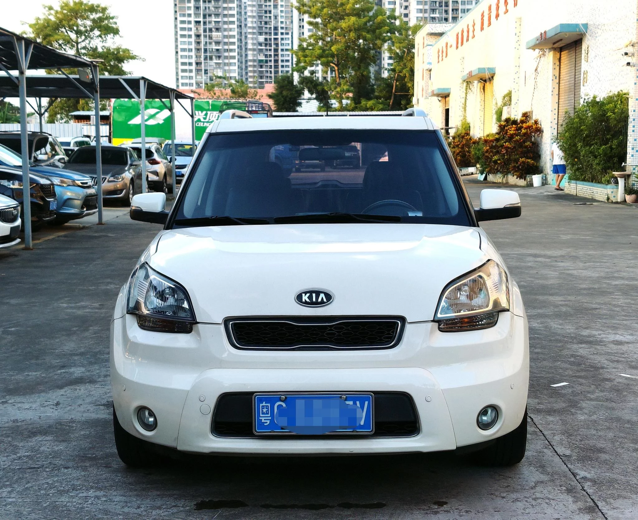 Kia Shor  из Китая