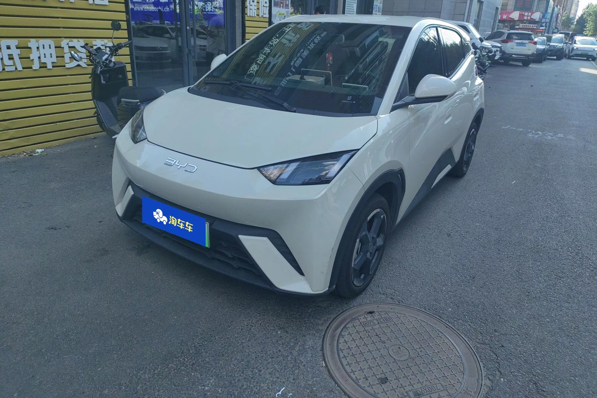 BYD Seagull