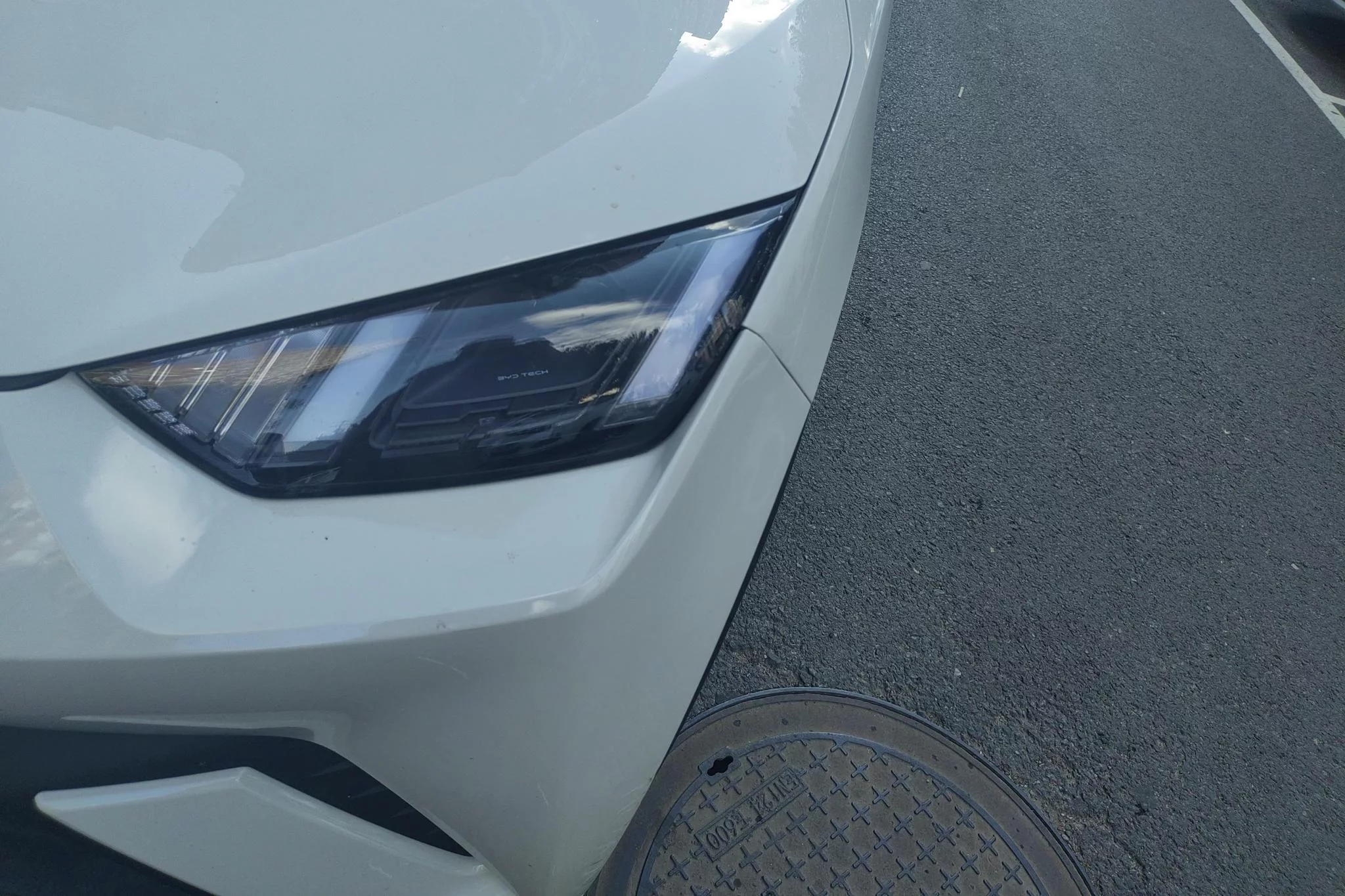 BYD Seagull