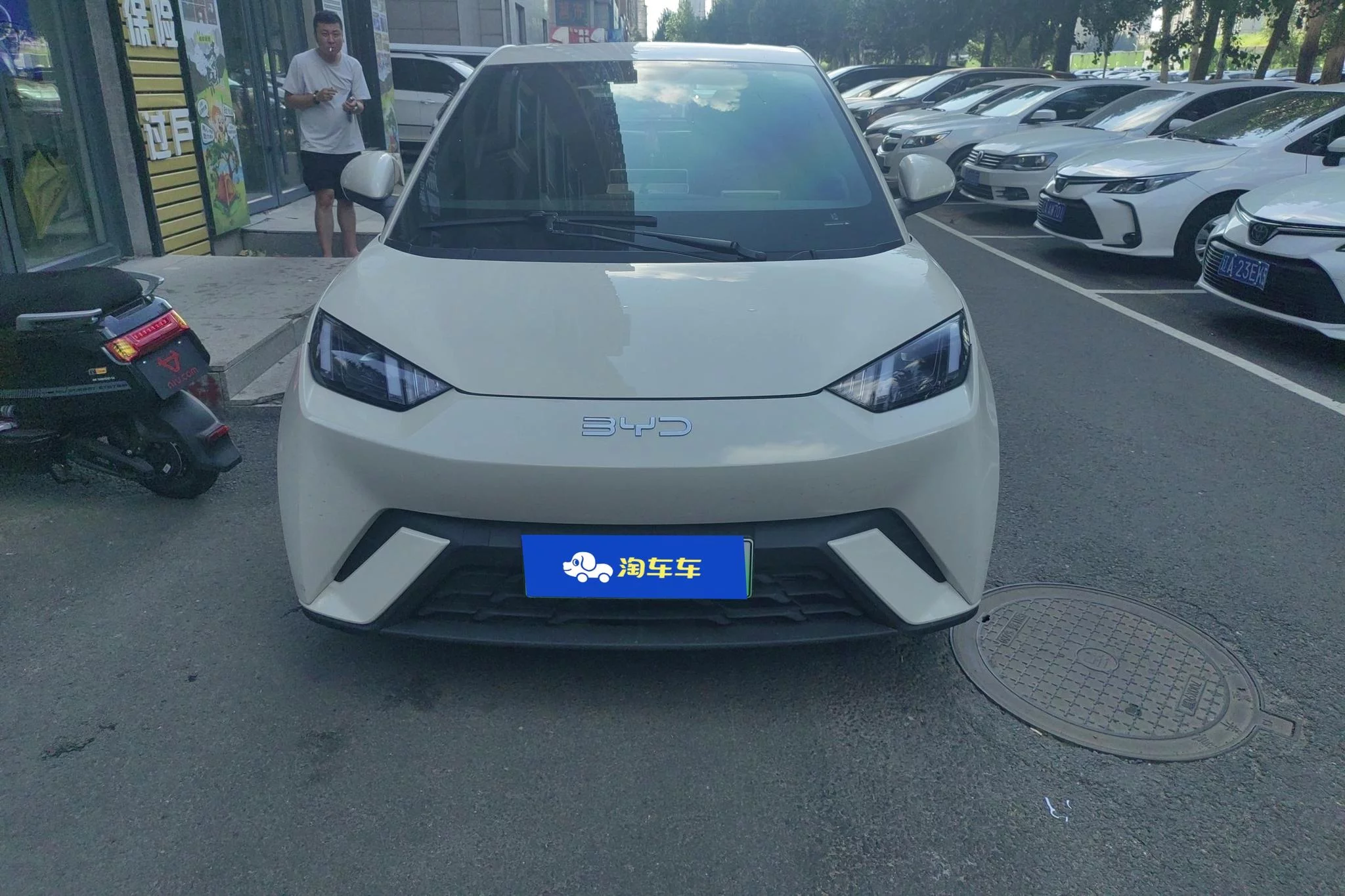 BYD Seagull