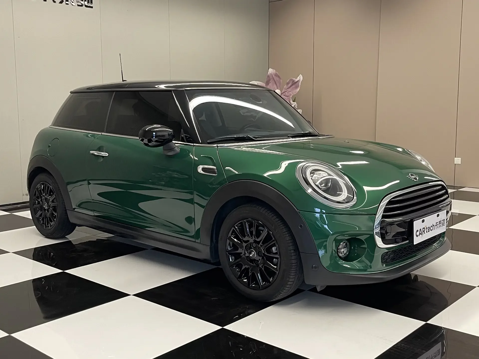 MINI MINI