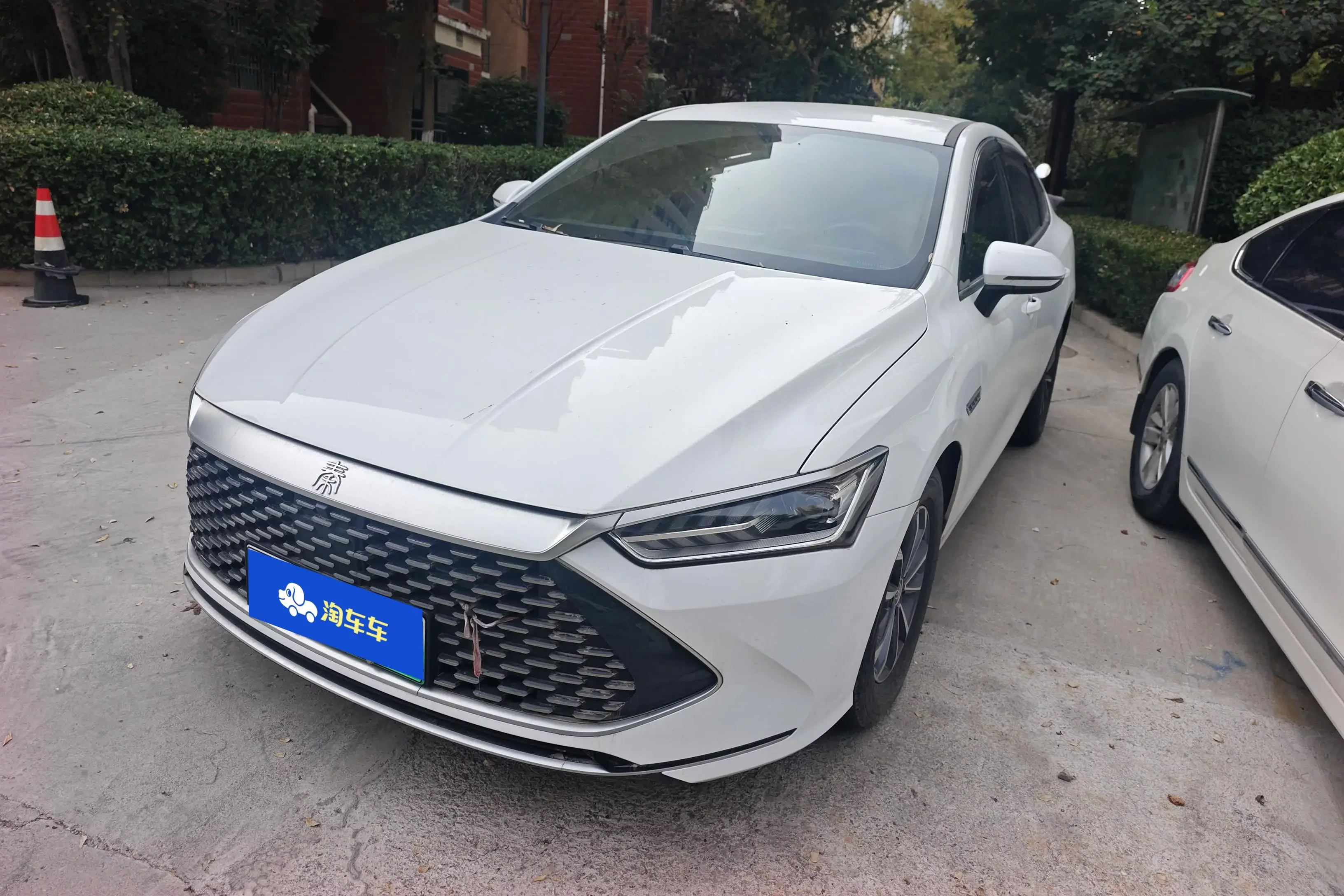 BYD Qin PLUS DM