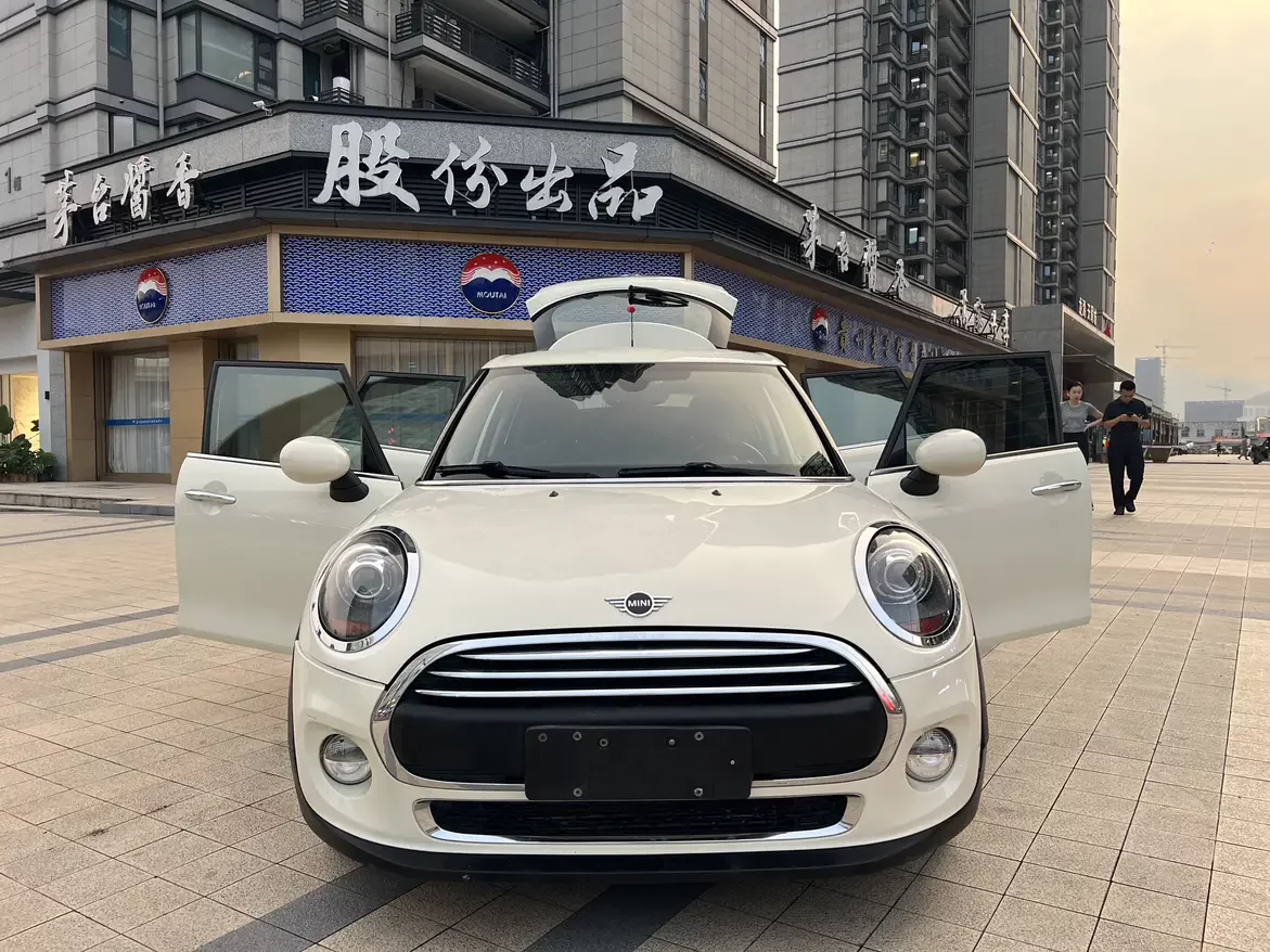MINI MINI  из Китая