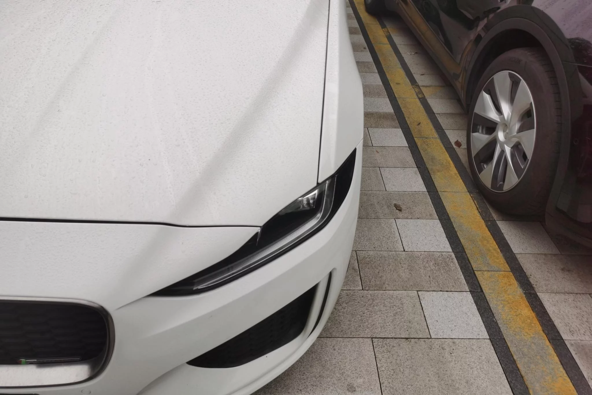 Jaguar XEL
