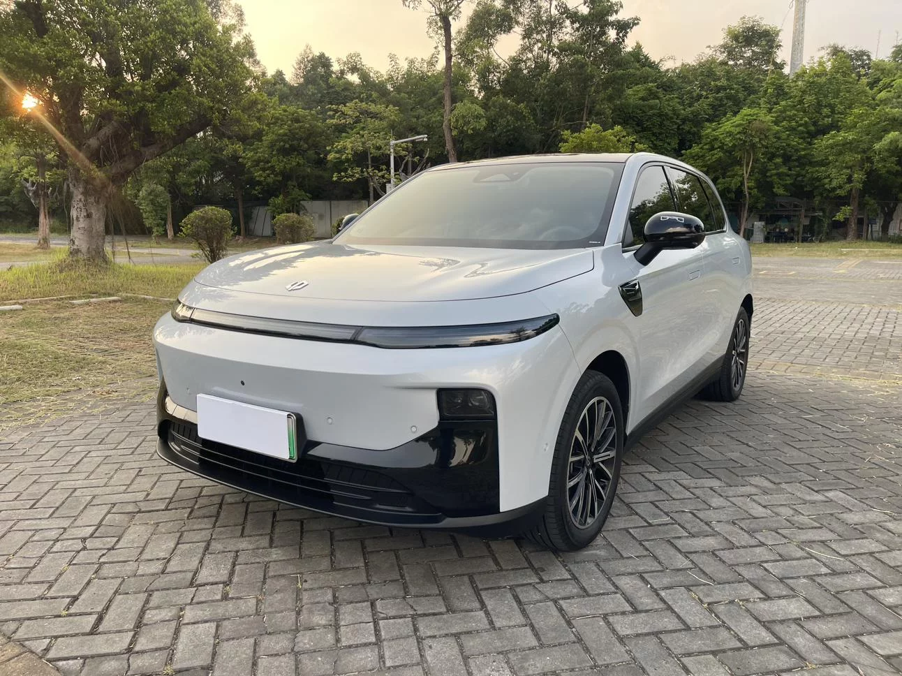 Leapmotor B10  из Китая