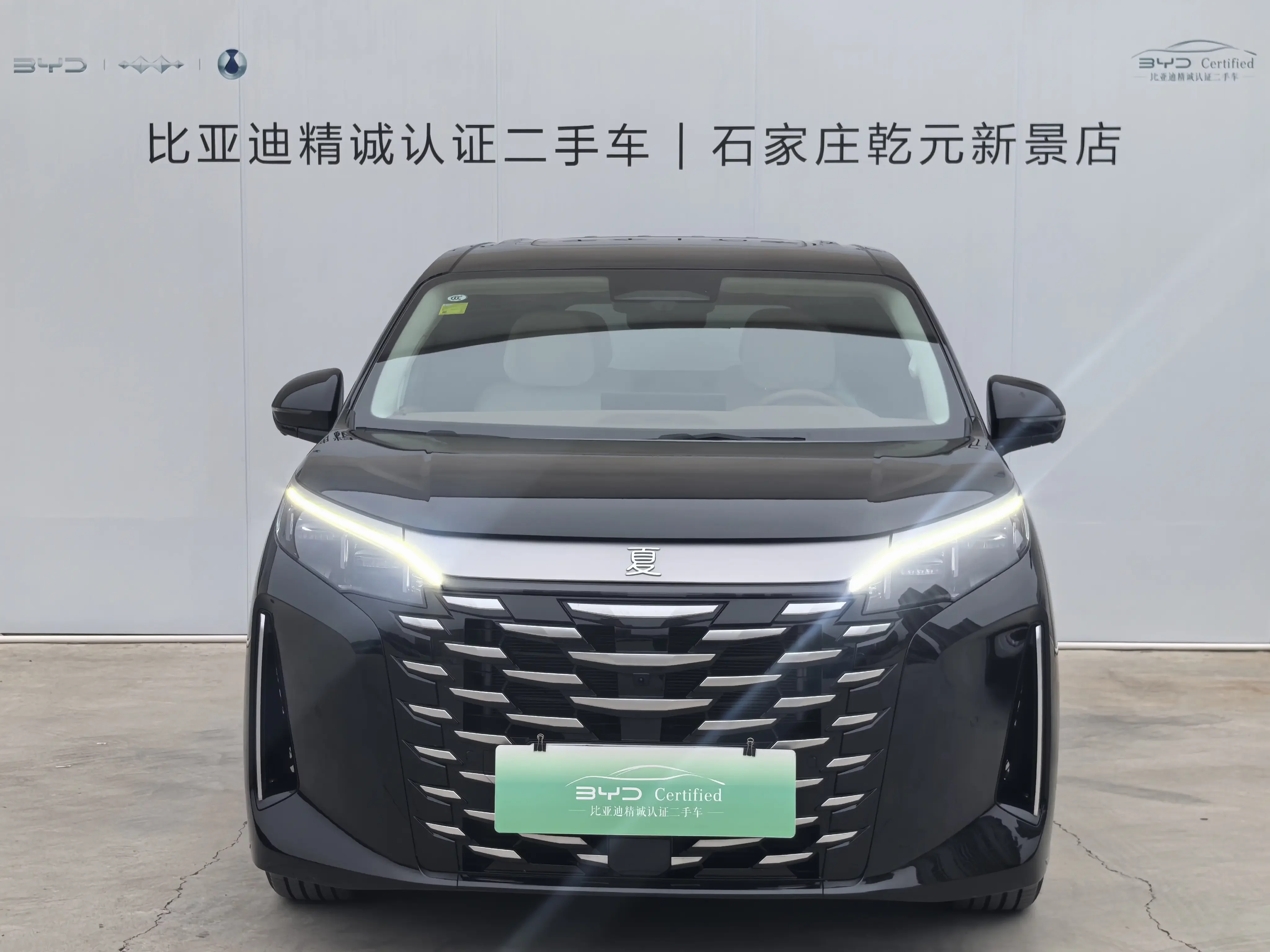 BYD Xia