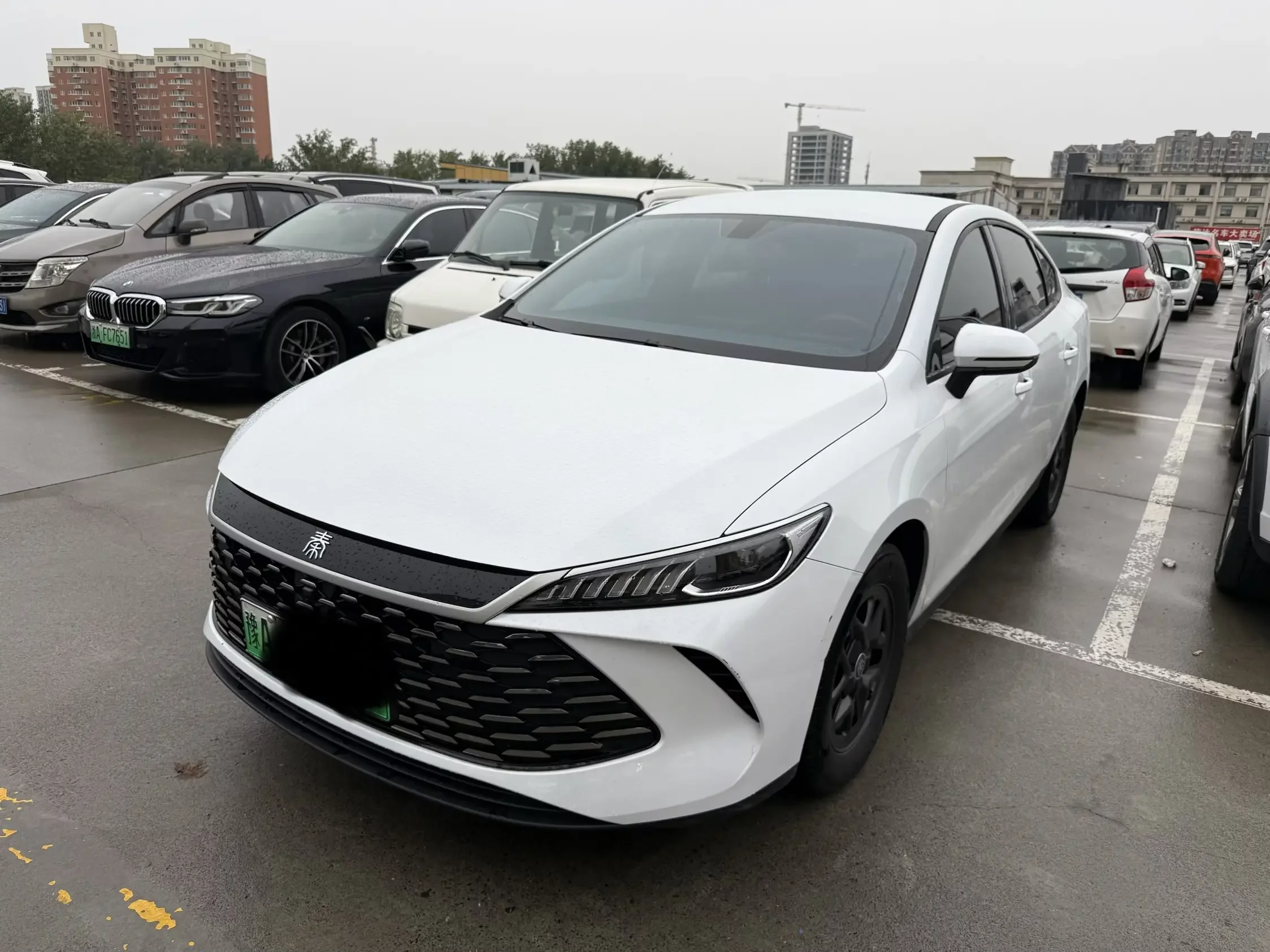 BYD Qin PLUS DM