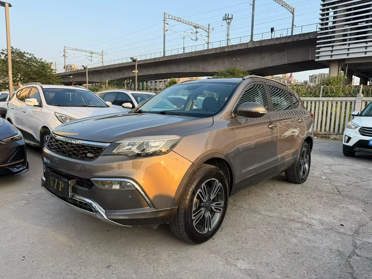 Leopaard Cheetah CS10