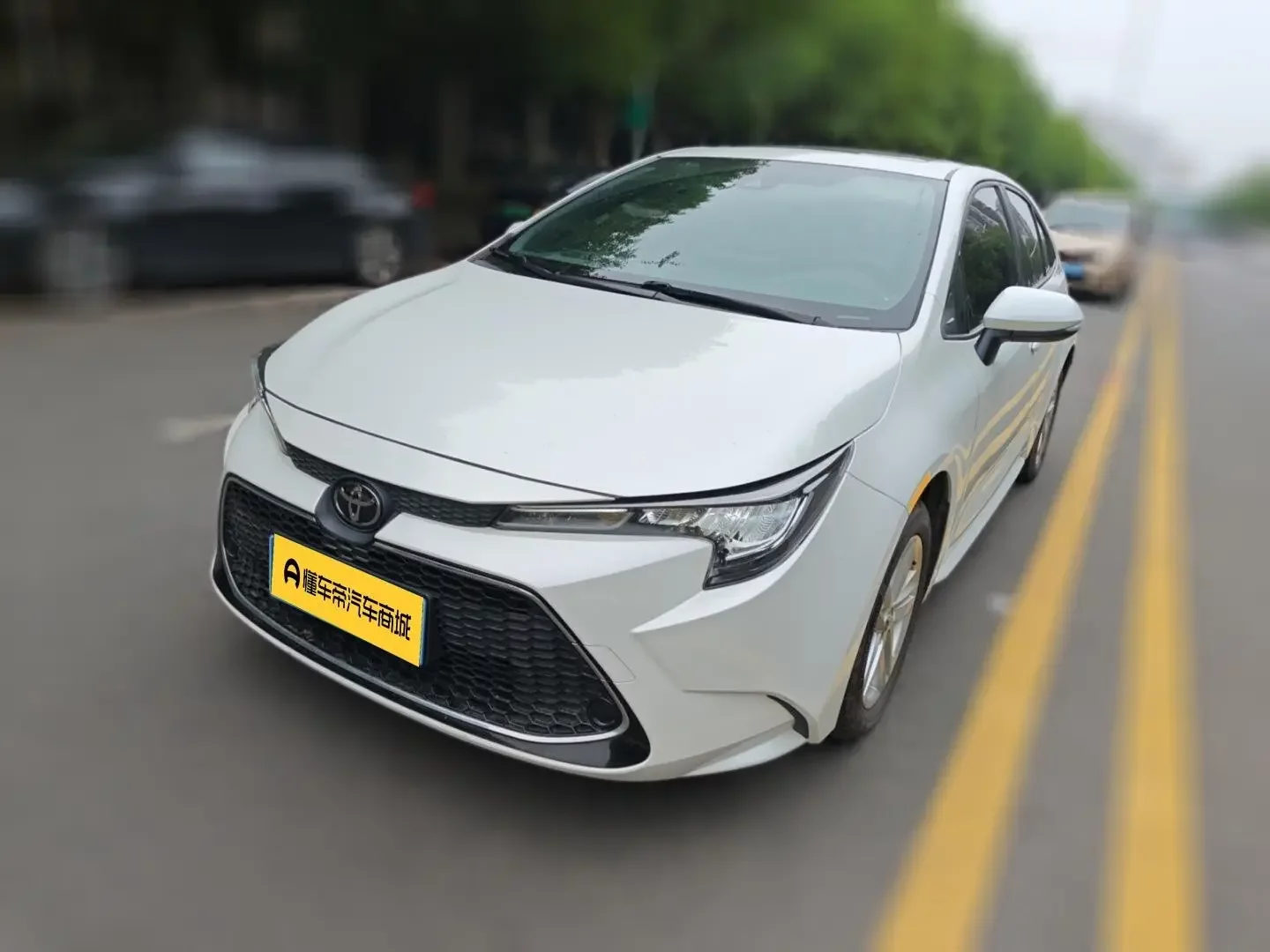 Toyota Levin