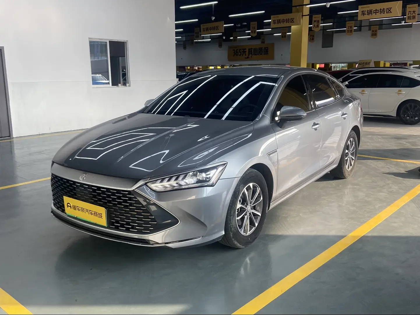 BYD Qin PLUS DM