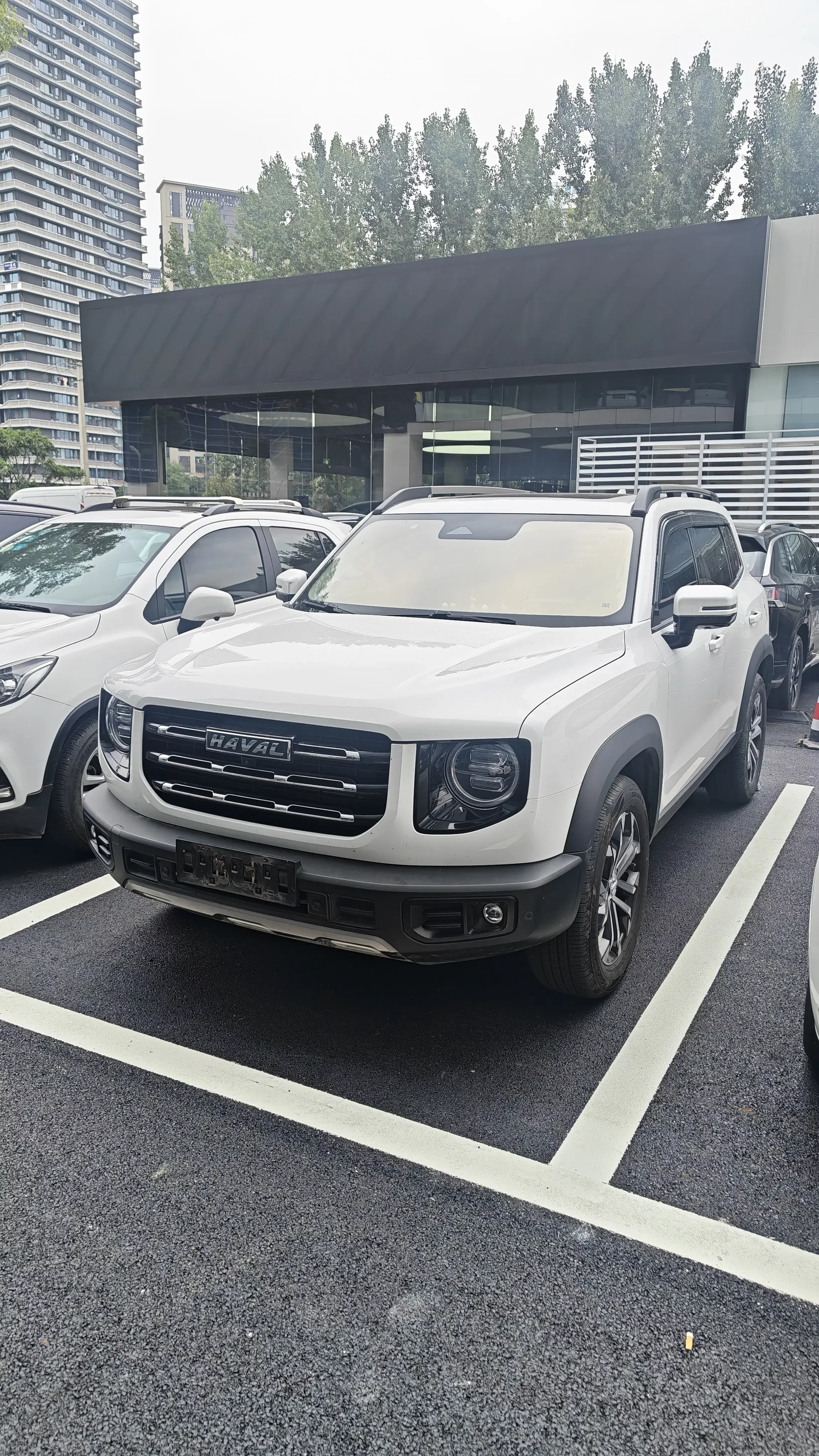 Haval Dargo
