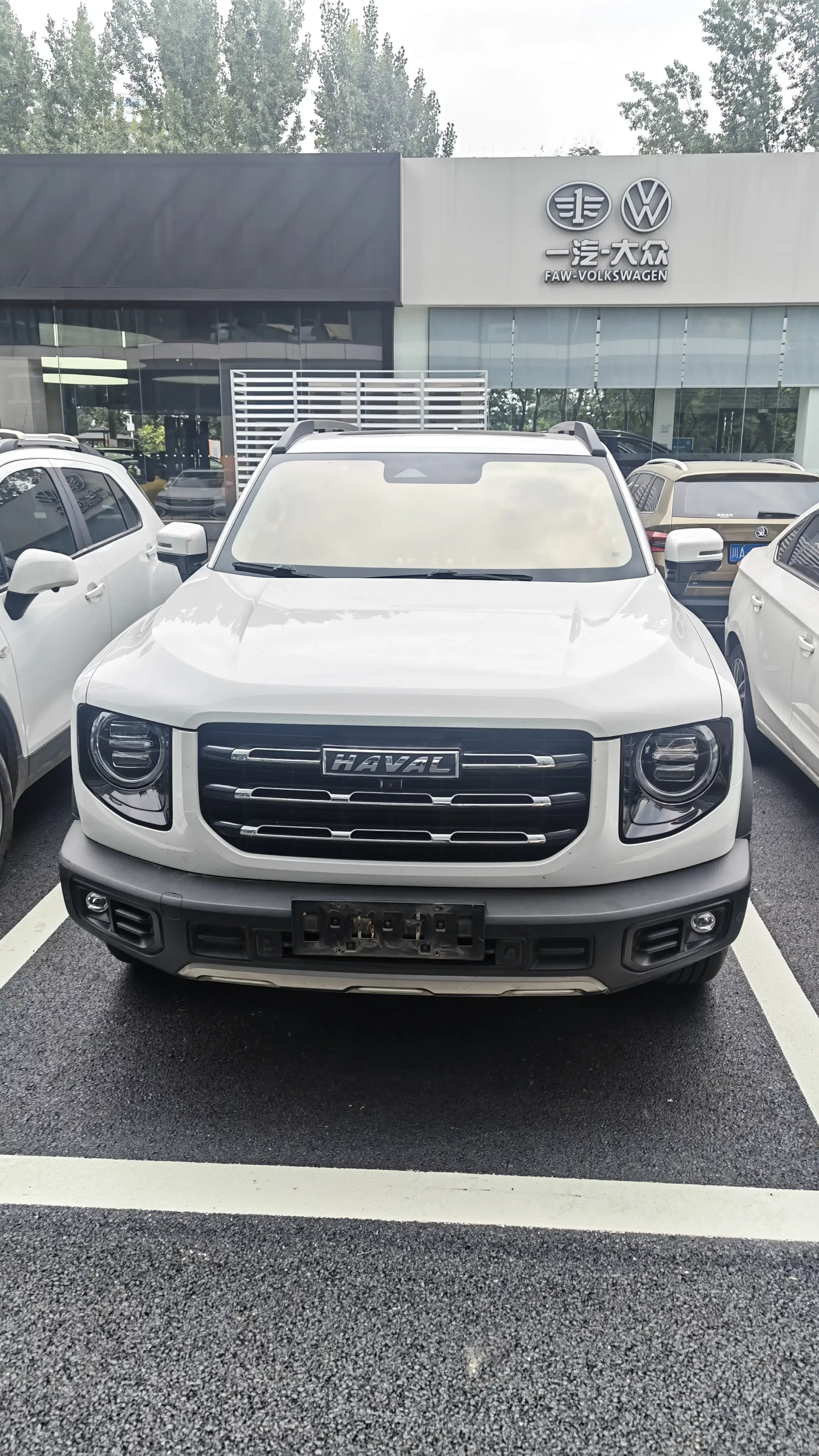 Haval Dargo