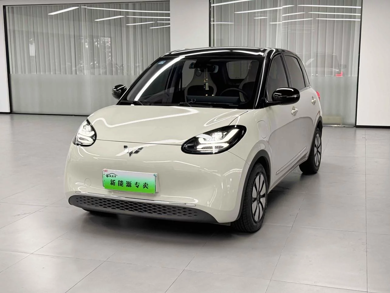 Wuling Bingo