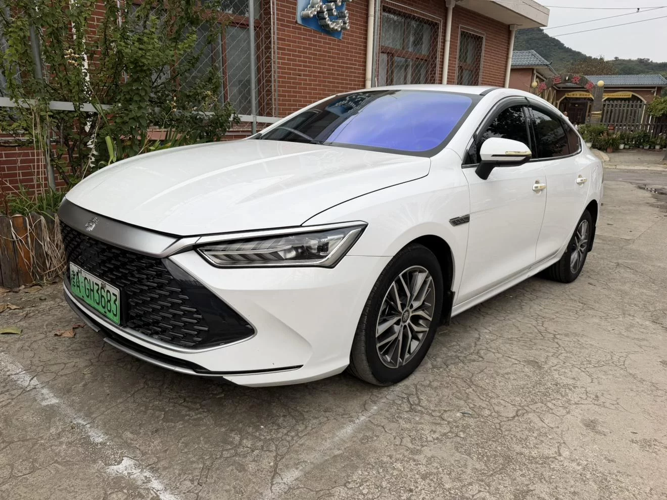 BYD Qin PLUS DM