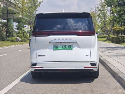 Denza D9 DM
