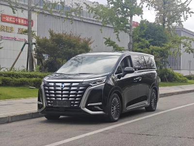 Denza D9 DM, 2024 — купить с доставкой из Китая