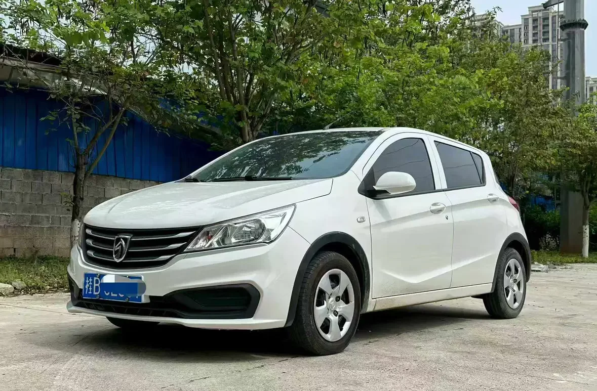 Baojun 310