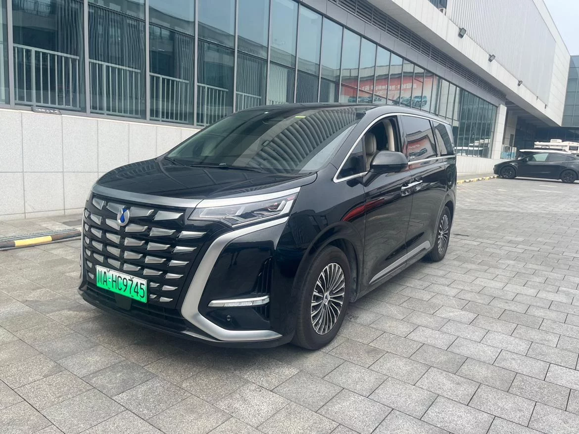 Denza D9 DM
