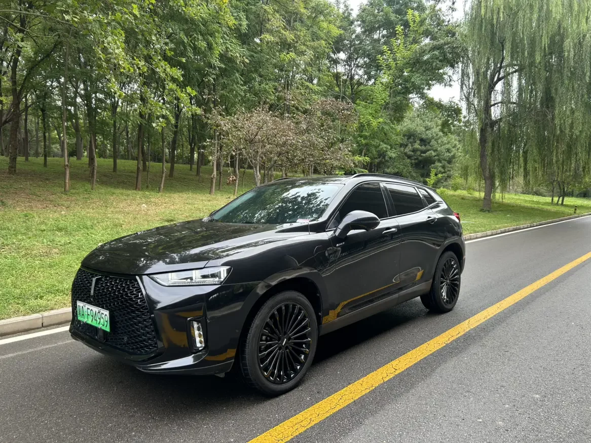Wey Wei brand P8