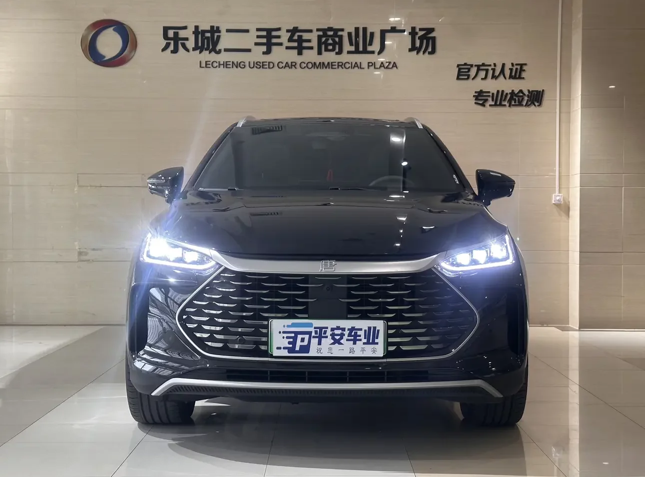 BYD Tang DM