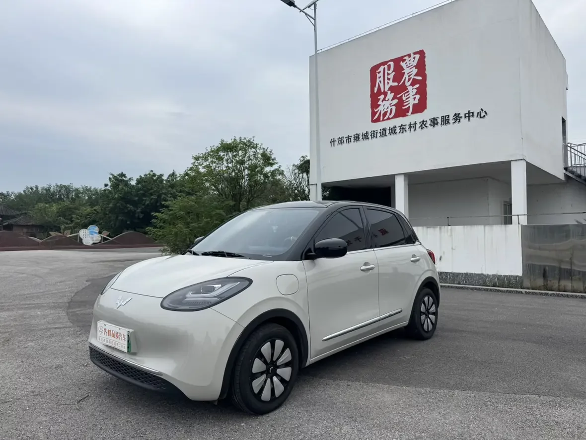 Wuling Bingo