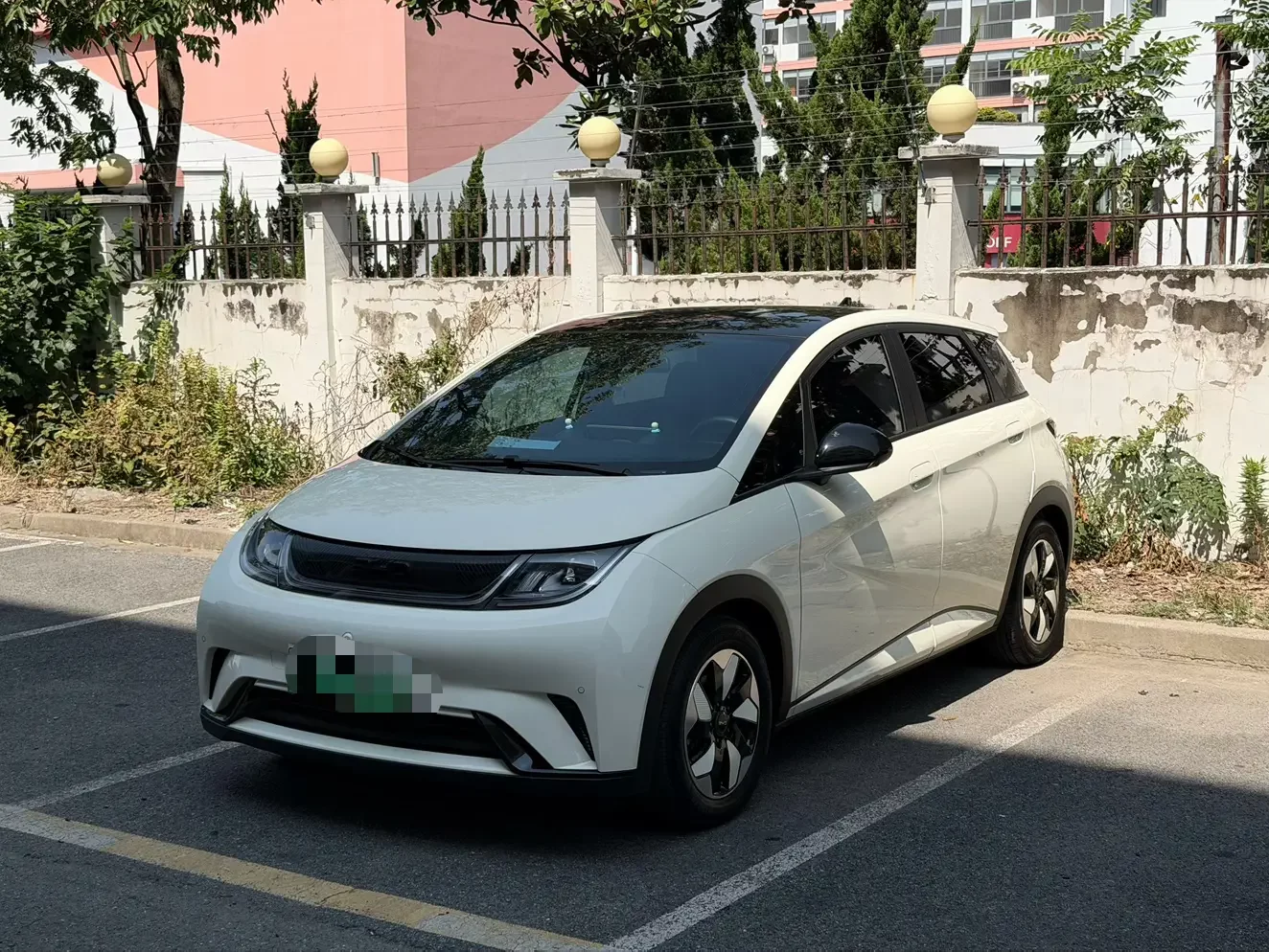 BYD Dolphin
