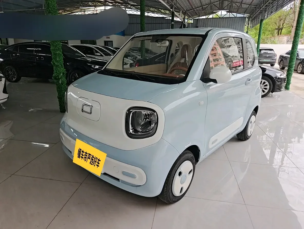 FAW Galloping Pony