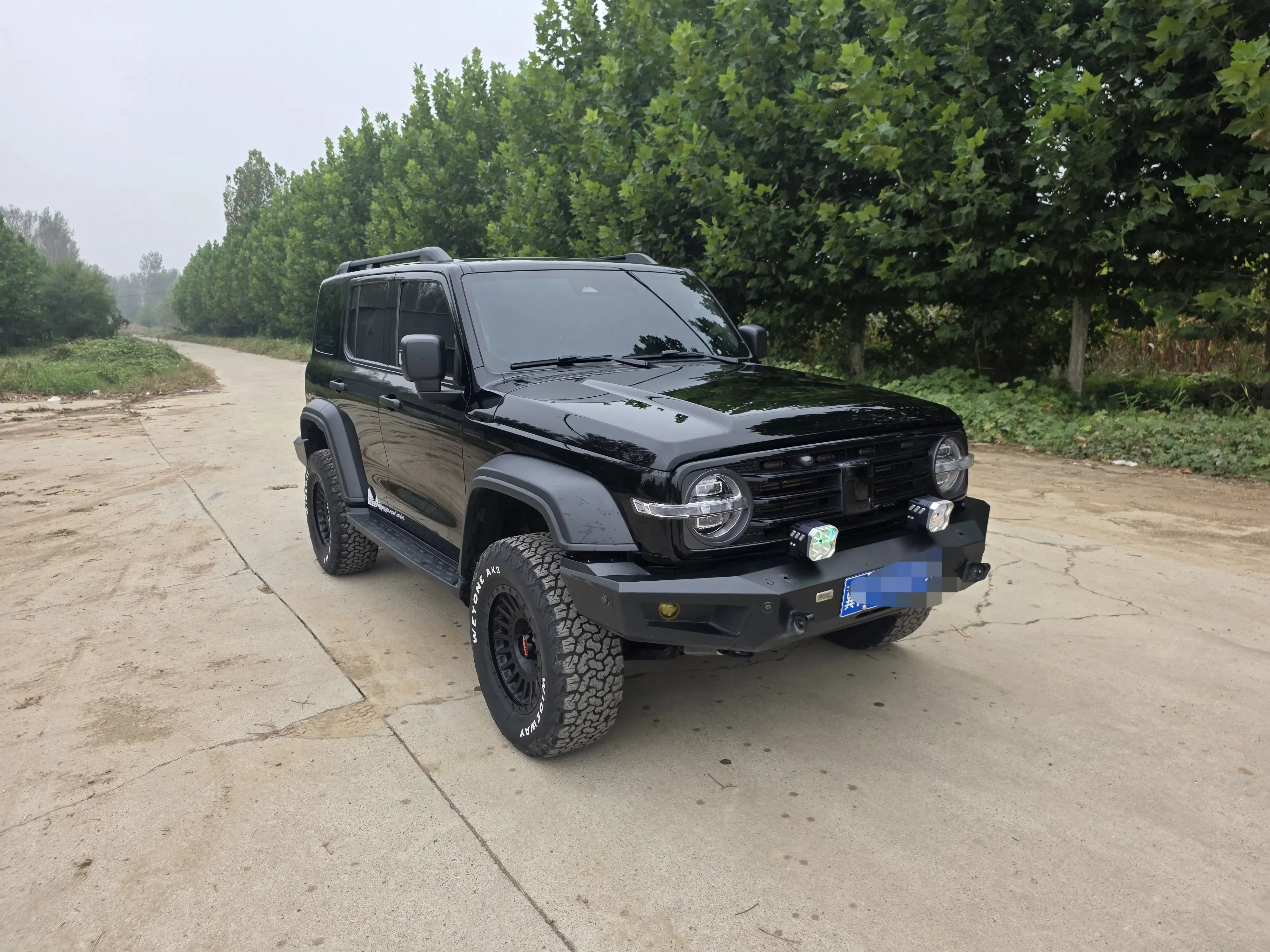 TANK 300