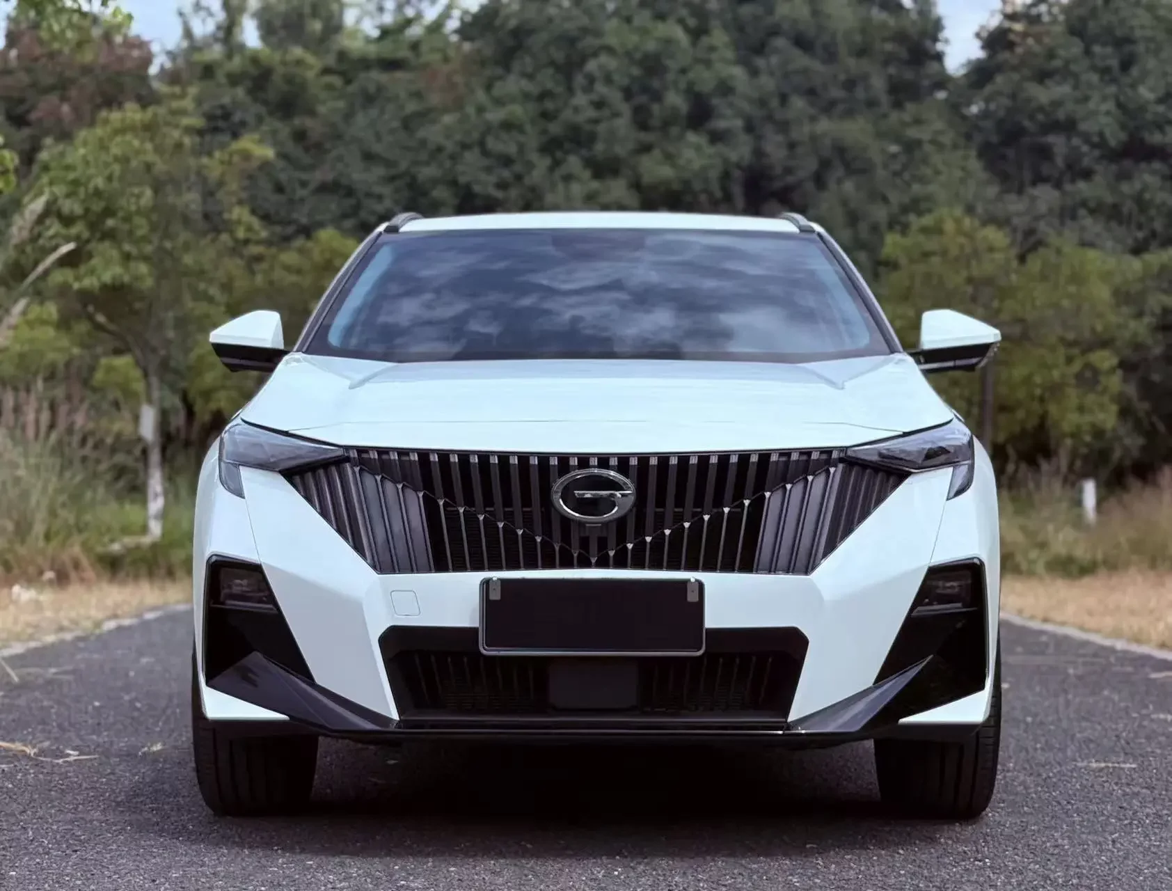 GAC Trumpchi GS3  из Китая