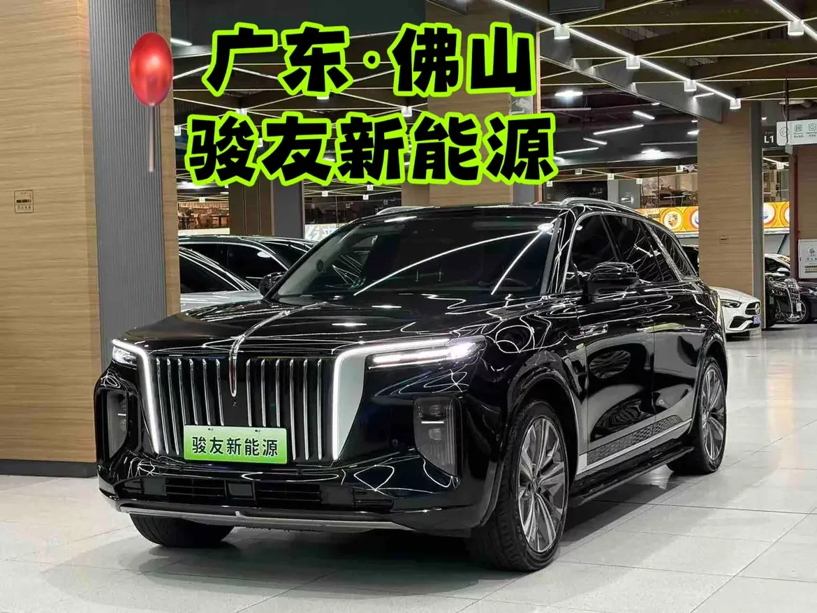 Hongqi E-HS9