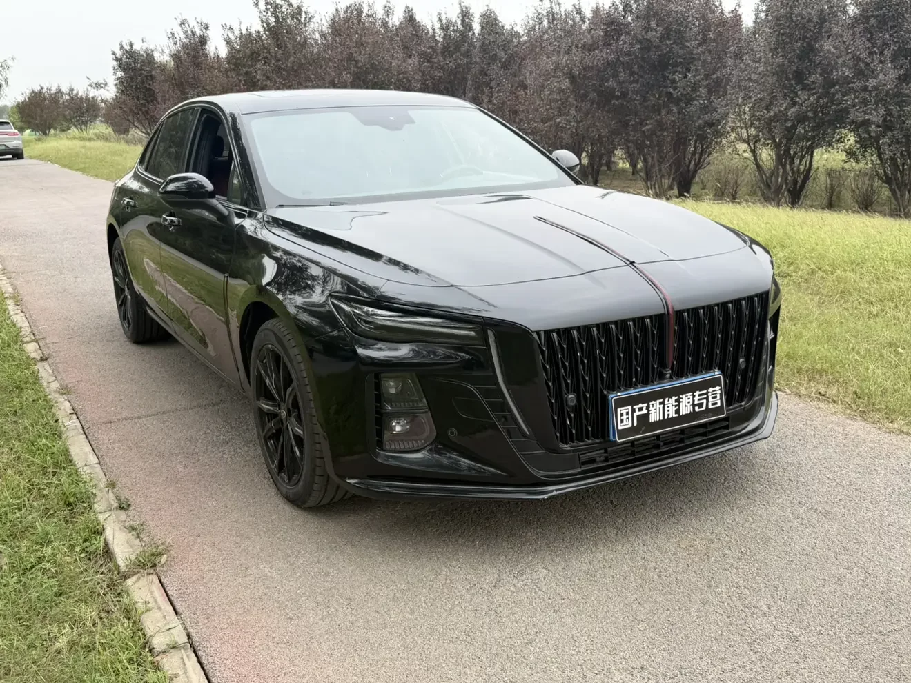 Hongqi H5