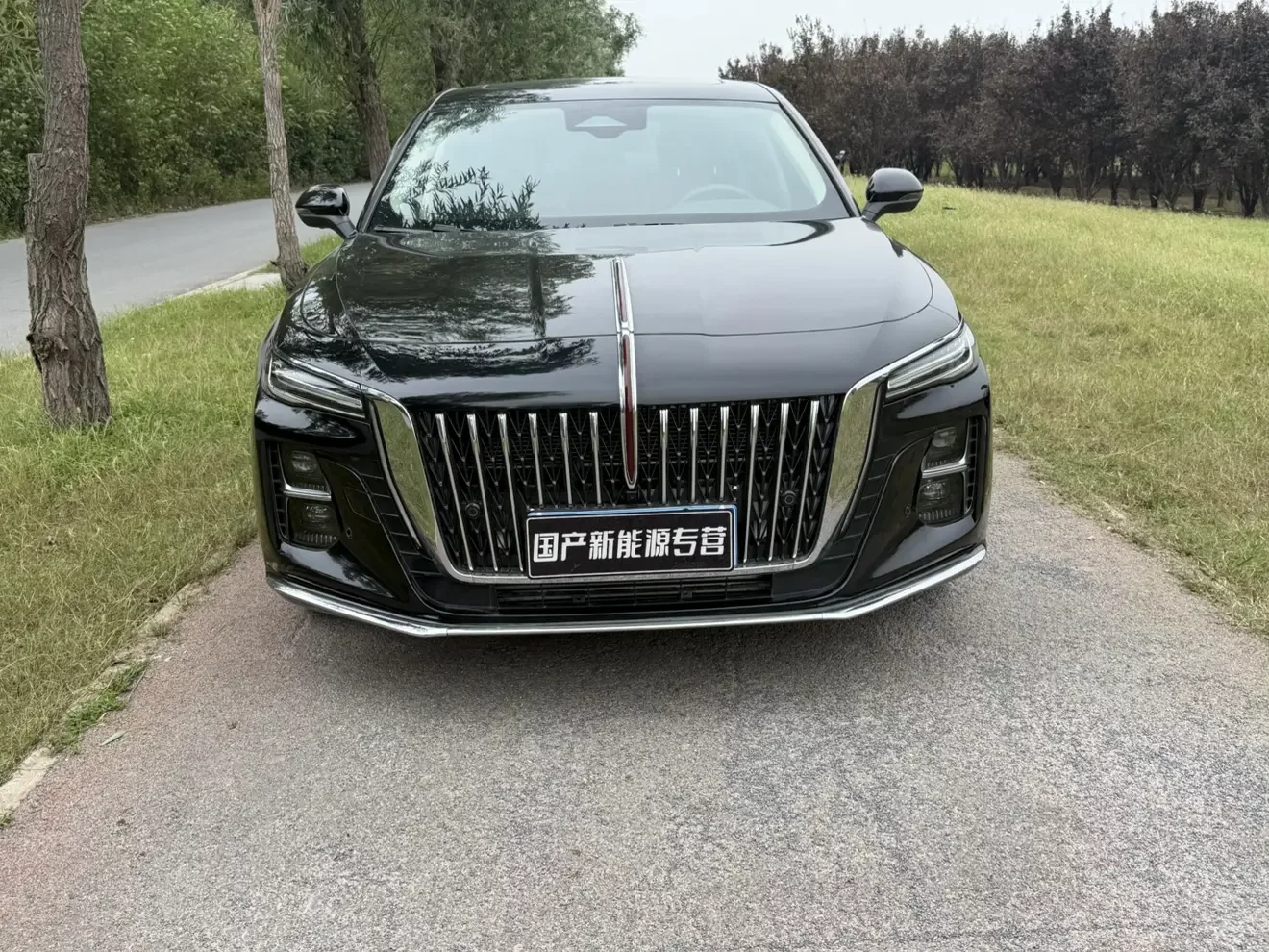 Hongqi H5