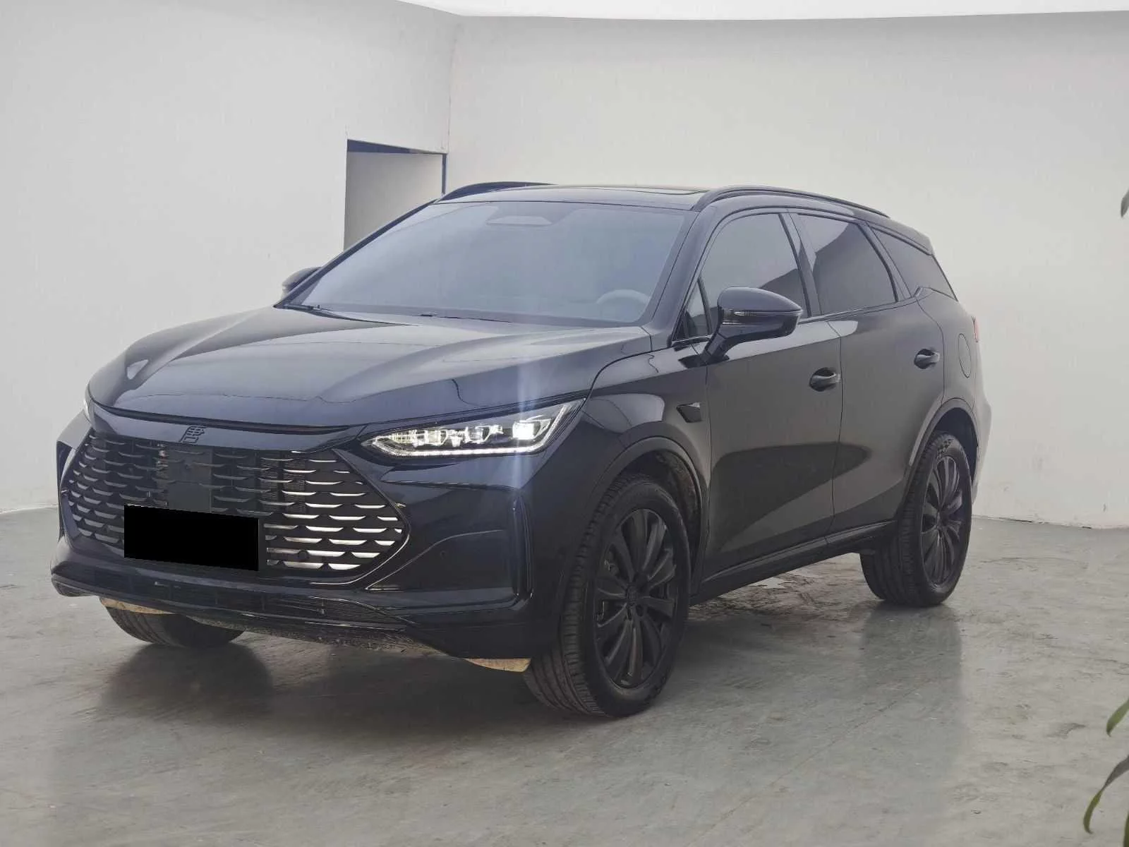 BYD Tang DM