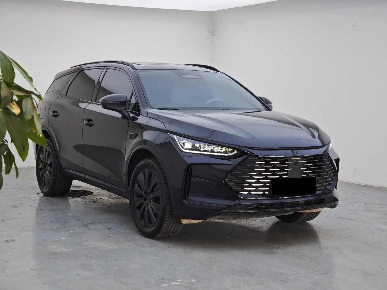BYD Tang DM